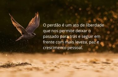 O perdão